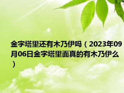 金字塔里还有木乃伊吗（2023年09月06日金字塔里面真的有木乃伊么）