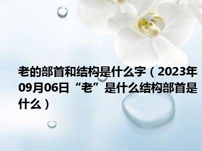 老的部首和结构是什么字（2023年09月06日“老”是什么结构部首是什么）