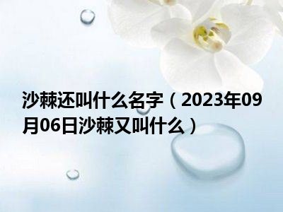 沙棘还叫什么名字（2023年09月06日沙棘又叫什么）