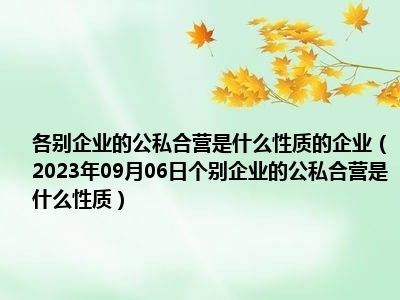 各别企业的公私合营是什么性质的企业（2023年09月06日个别企业的公私合营是什么性质）