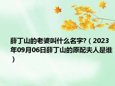 薛丁山的老婆叫什么名字 （2023年09月06日薛丁山的原配夫人是谁）