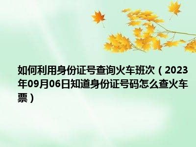 如何利用身份证号查询火车班次（2023年09月06日知道身份证号码怎么查火车票）