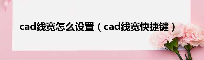 cad线宽怎么设置（cad线宽快捷键）