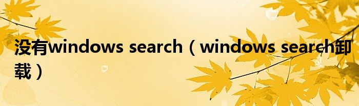  没有windows search（windows search卸载）