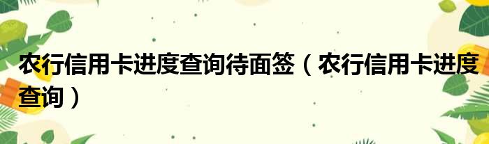 农行信用卡进度查询待面签（农行信用卡进度查询）