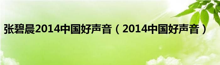  张碧晨2014中国好声音（2014中国好声音）