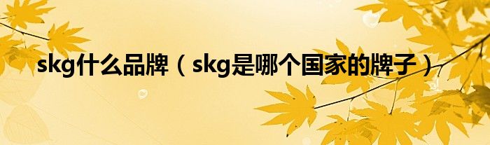  skg什么品牌（skg是哪个国家的牌子）