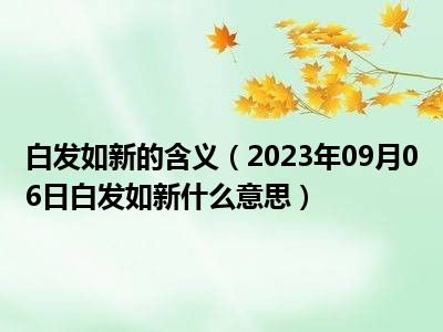 白发如新的含义（2023年09月06日白发如新什么意思）