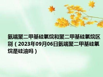 氨端聚二甲基硅氧烷和聚二甲基硅氧烷区别（2023年09月06日氨端聚二甲基硅氧烷是硅油吗）