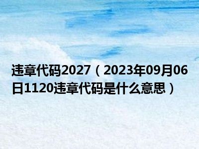 违章代码2027（2023年09月06日1120违章代码是什么意思）