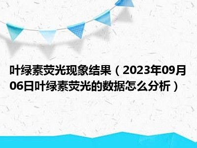 叶绿素荧光现象结果（2023年09月06日叶绿素荧光的数据怎么分析）