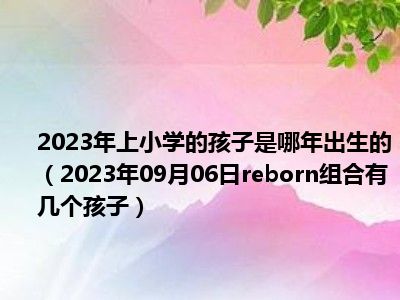 2023年上小学的孩子是哪年出生的（2023年09月06日reborn组合有几个孩子）