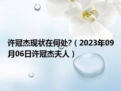 许冠杰现状在何处 （2023年09月06日许冠杰夫人）