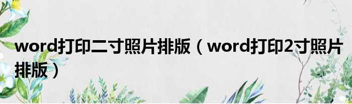 word打印二寸照片排版（word打印2寸照片排版）