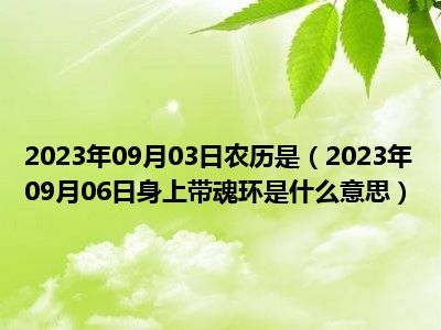 2023年09月03日农历是（2023年09月06日身上带魂环是什么意思）