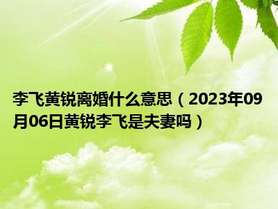 李飞黄锐离婚什么意思（2023年09月06日黄锐李飞是夫妻吗）