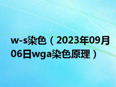 w-s染色（2023年09月06日wga染色原理）