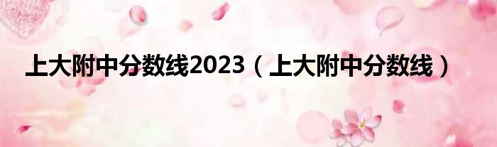 上大附中分数线2023（上大附中分数线）