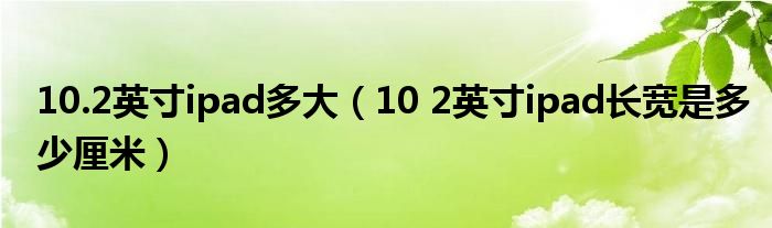 10.2英寸ipad多大（10 2英寸ipad长宽是多少厘米）