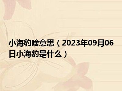 小海豹啥意思（2023年09月06日小海豹是什么）