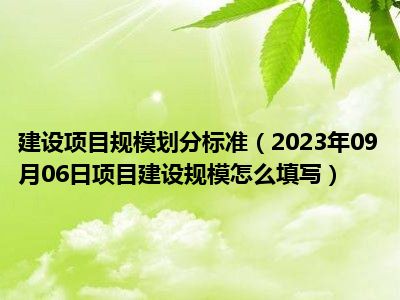 建设项目规模划分标准（2023年09月06日项目建设规模怎么填写）