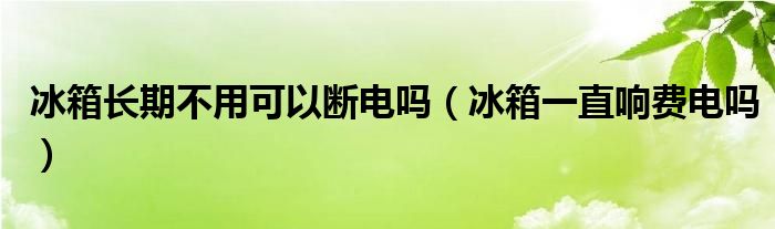  冰箱长期不用可以断电吗（冰箱一直响费电吗）