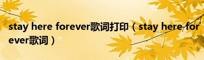  stay here forever歌词打印（stay here forever歌词）