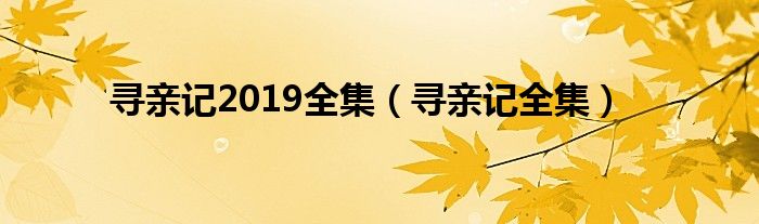  寻亲记2019全集（寻亲记全集）