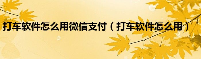  打车软件怎么用微信支付（打车软件怎么用）