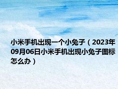 小米手机出现一个小兔子（2023年09月06日小米手机出现小兔子图标怎么办）