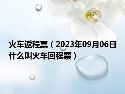 火车返程票（2023年09月06日什么叫火车回程票）