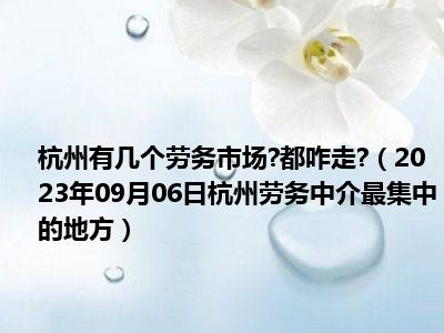 杭州有几个劳务市场 都咋走 （2023年09月06日杭州劳务中介最集中的地方）