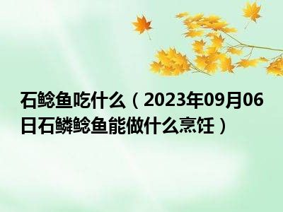 石鲶鱼吃什么（2023年09月06日石鳞鲶鱼能做什么烹饪）