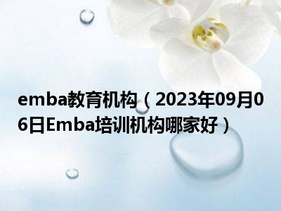 emba教育机构（2023年09月06日Emba培训机构哪家好）