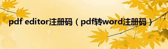  pdf editor注册码（pdf转word注册码）