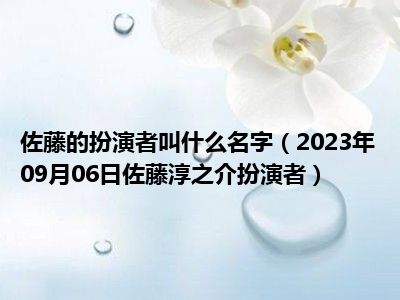 佐藤的扮演者叫什么名字（2023年09月06日佐藤淳之介扮演者）