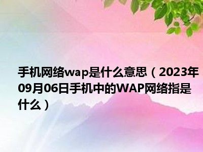 手机网络wap是什么意思（2023年09月06日手机中的WAP网络指是什么）