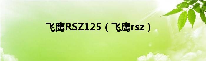  飞鹰RSZ125（飞鹰rsz）