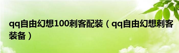  qq自由幻想100刺客配装（qq自由幻想刺客装备）