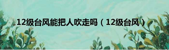 12级台风能把人吹走吗（12级台风）