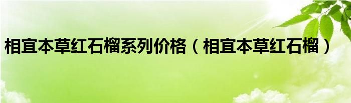  相宜本草红石榴系列价格（相宜本草红石榴）