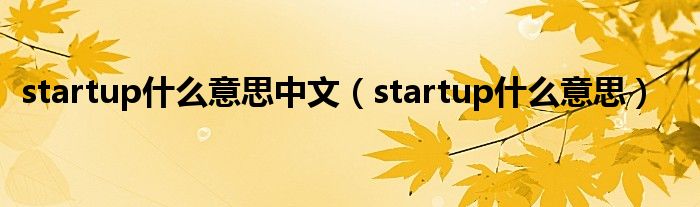  startup什么意思中文（startup什么意思）