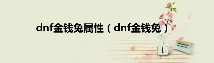  dnf金钱兔属性（dnf金钱兔）