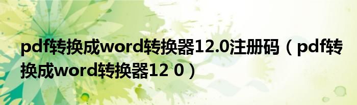  pdf转换成word转换器12.0注册码（pdf转换成word转换器12 0）