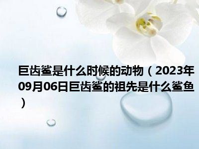 巨齿鲨是什么时候的动物（2023年09月06日巨齿鲨的祖先是什么鲨鱼）