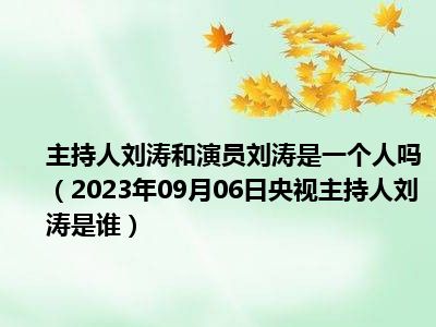 主持人刘涛和演员刘涛是一个人吗（2023年09月06日央视主持人刘涛是谁）