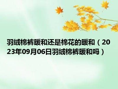 羽绒棉裤暖和还是棉花的暖和（2023年09月06日羽绒棉裤暖和吗）