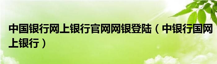 中国银行网上银行官网网银登陆（中银行国网上银行）