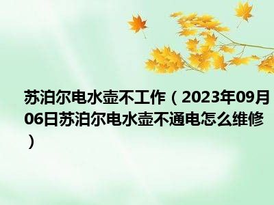 苏泊尔电水壶不工作（2023年09月06日苏泊尔电水壶不通电怎么维修）