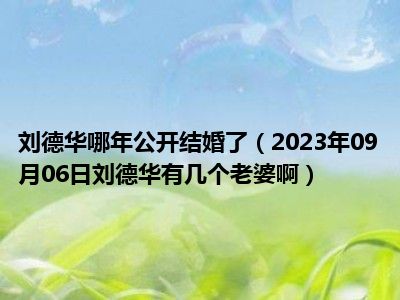 刘德华哪年公开结婚了（2023年09月06日刘德华有几个老婆啊）